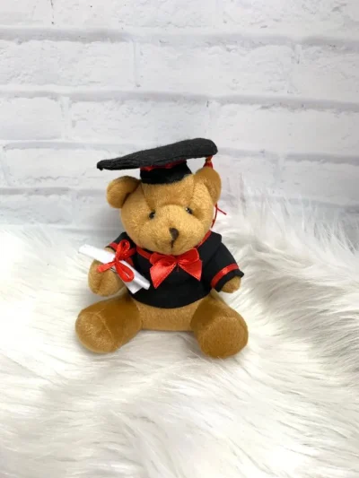 Graduation bear