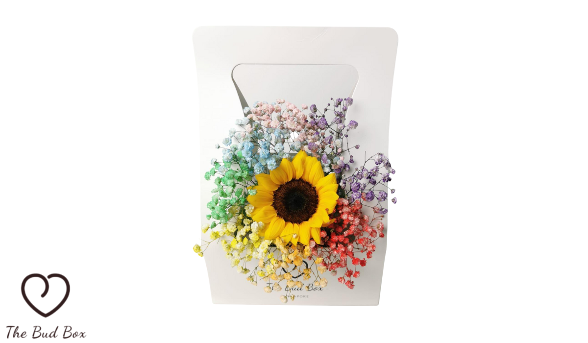 Sunflower and Rainbow’s Baby Breath