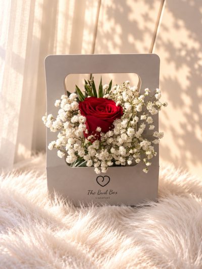 Red Rose Mini Bud Box