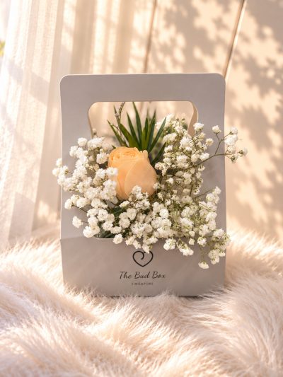Champagne Rose Mini Bud Box