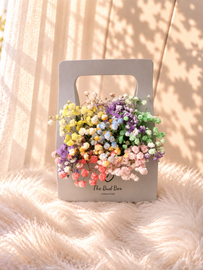 Rainbow Baby’s Breath Mini Bud Box